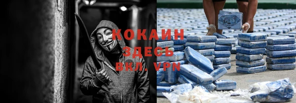 индика Осинники
