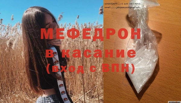 индика Осинники