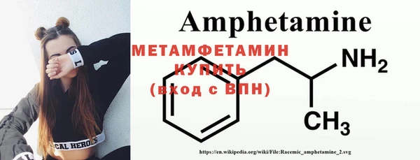 индика Осинники