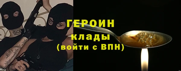 индика Осинники