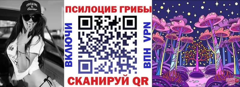 как найти наркотики  Нязепетровск  Псилоцибиновые грибы MAGIC MUSHROOMS 